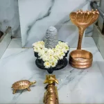 Seeing Worshipping Shivling in Dream