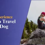 How-to-Travel-with-a-Dog-My-Experience-myfitour